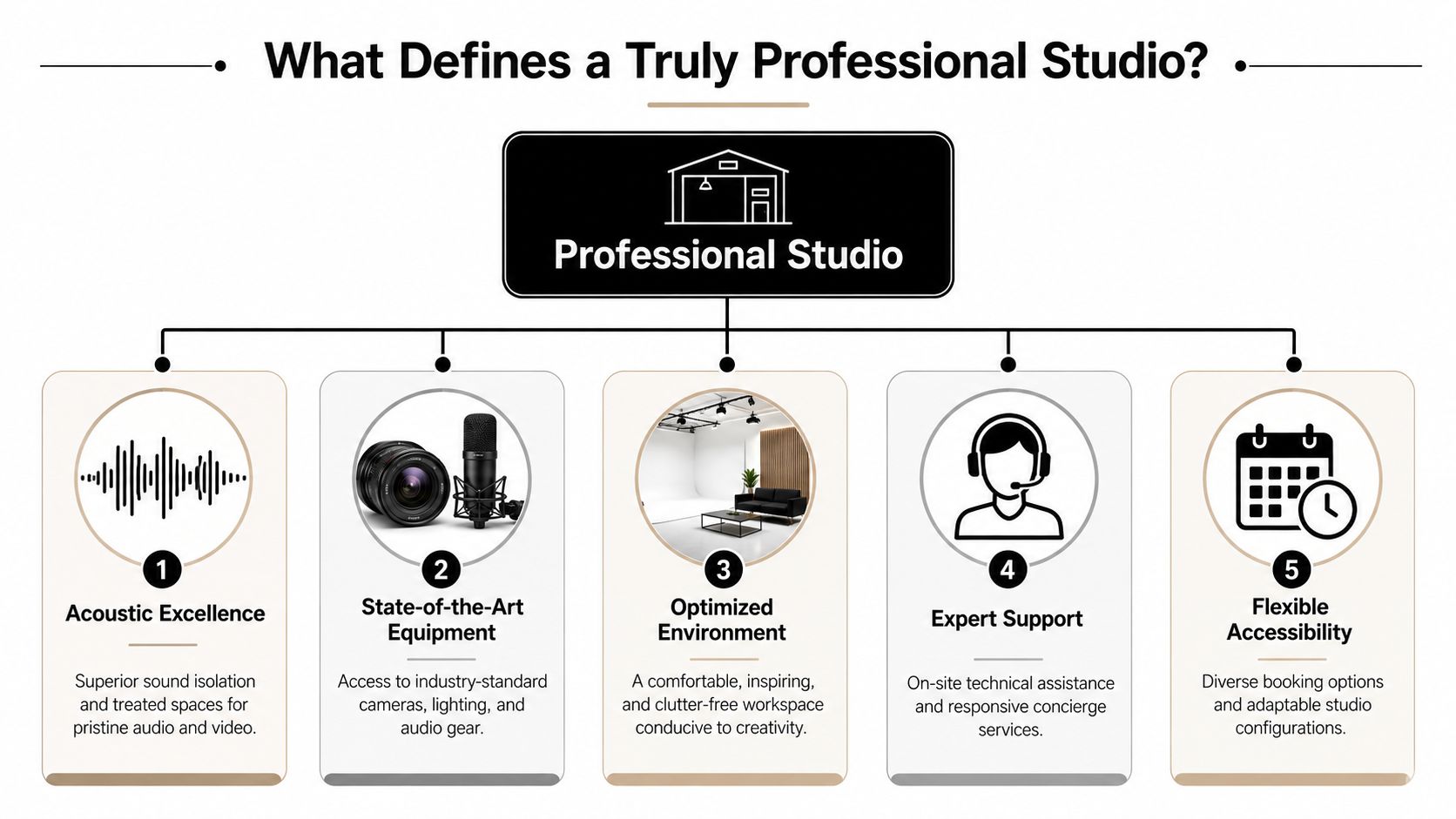 An infographic titled What Defines a Truly Professional Studio listing five key characteristics for success.