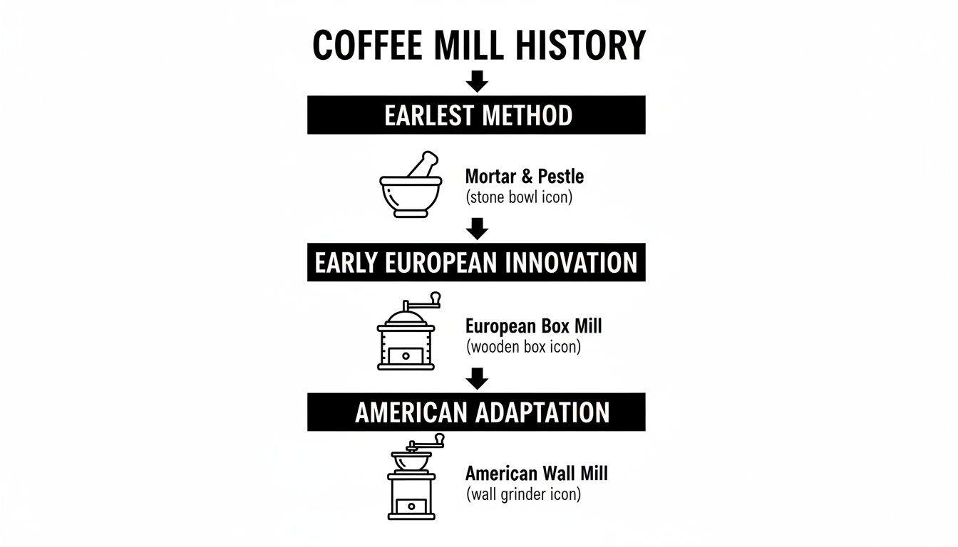 An infographic detailing the history of coffee mills, from mortar & pestle to European box mills and American wall mills.