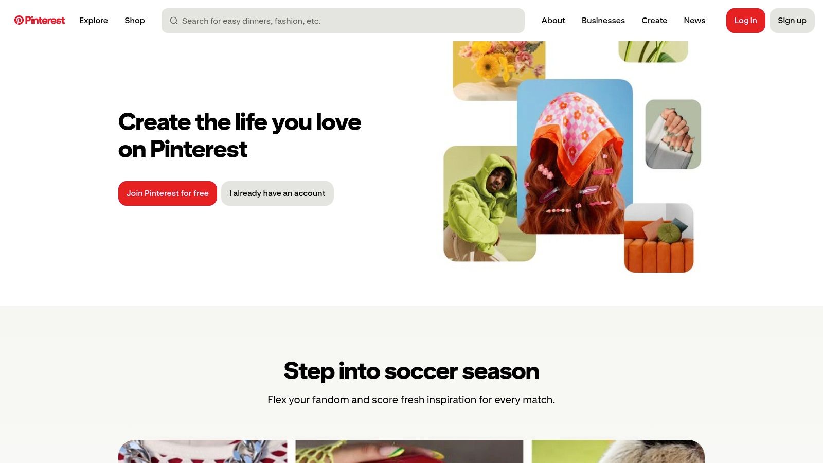 Pinterest (Video Pins and Idea ads)